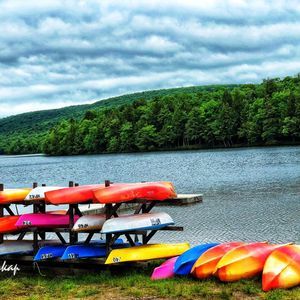 Meet your Posher, Bon